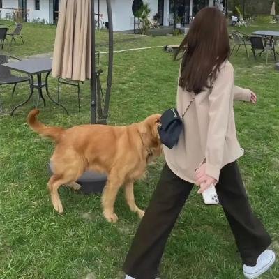 青春不狗活